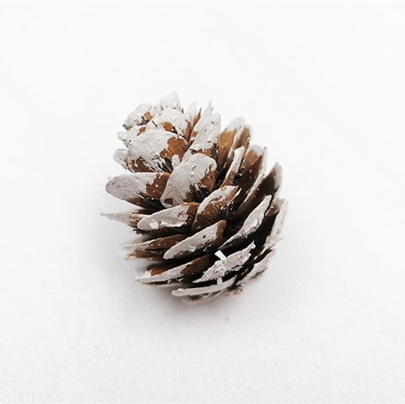 180 PCS Mini Pine Cones - Organic Rustic Ornaments for Crafts