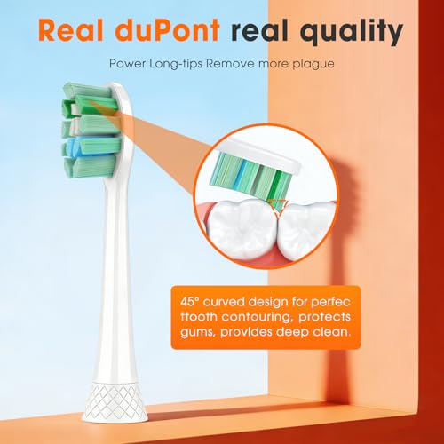 Toothbrush Replacement Heads for Philips C1 & C2 Electric