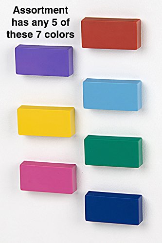 Strong Domino Size Magnets - Set of 5 for Fridge & Office