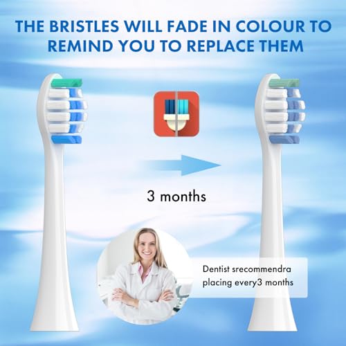 Topkitfice 10 Blue Replacement Toothbrush Heads for Philips Sonicare | Soft, Compatible with Snap-On System