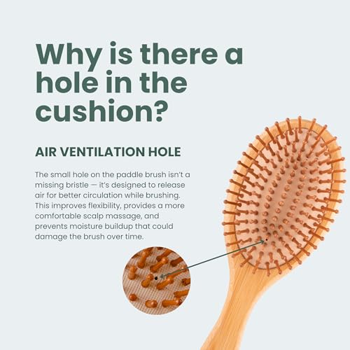 Regrowz Bamboo Paddle Hair Brush - Natural Wooden Detangler for All Hair