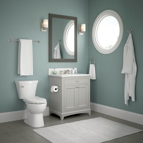 Franklin Brass Woodruff Satin Nickel Double Towel Hook