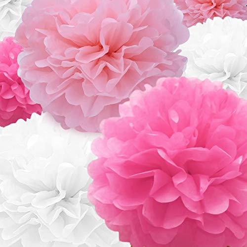 22 Pcs Tissue Paper Pompoms in Pink, Rose Red & White for Parties