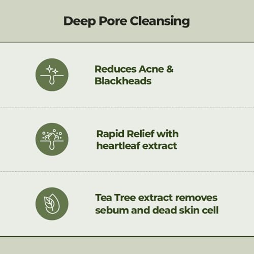JMsolution Heartleaf Cleansing Foam for Acne-Prone Skin, Deep Micro-Cleansing with Salicylic Acid & Tea Tree, 5.07 fl oz