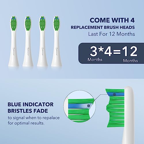ARISSON Sonic Electric Toothbrush for Adults & Kids - White, 40,000 VPM