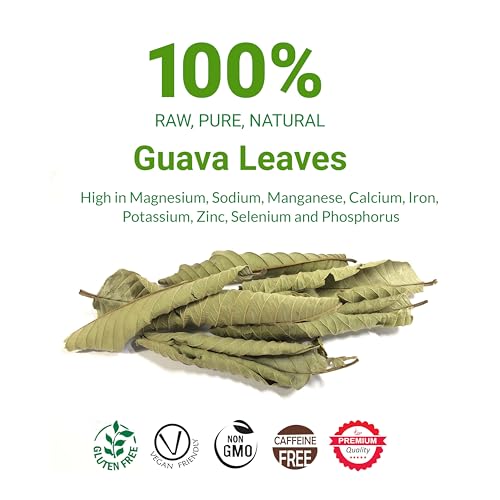 Dried Guava Leaves Tea - 100+ Natural, Caffeine-Free Herbal Infusion
