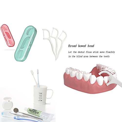 Setaria Viridis Dental Floss Picks - 100 High Toughness Picks with Cases