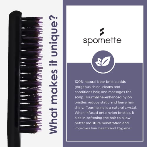 Spornette Little Wonder Boar Bristle Teasing Brush - Compact Styling Tool for All Hair Types