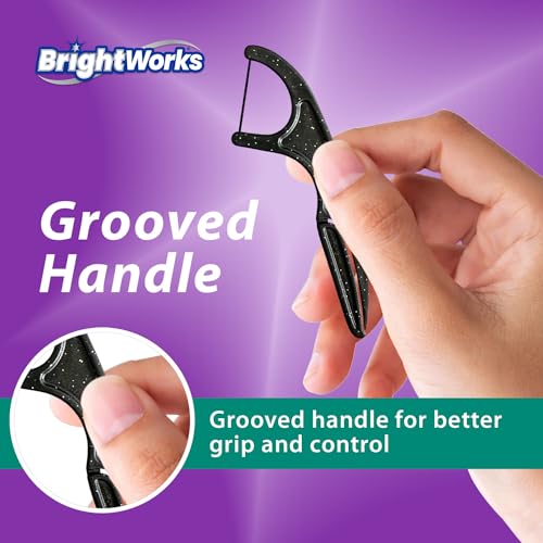 BrightWorks Eco-Friendly Charcoal Mint Floss Picks - 225 Count