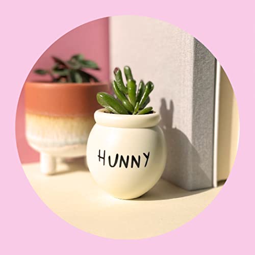 Disney Winnie the Pooh Hunny Honeypot Bath Bomb by MAD Beauty