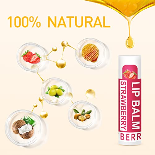 Dmsky Natural Lip Balm Set - 12 Flavors for Moisturizing Care