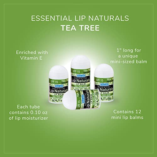 Lip Naturals Mini Tea Tree Balm SPF 15 - USA Made with Coconut & Peppermint (12-count)