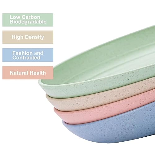 K Y KANGYUN 10 Inch Unbreakable Wheat Straw Dinner Plates Set of 4