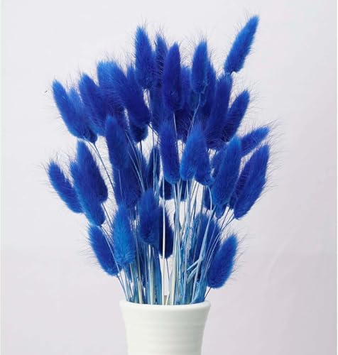 120pcs Blue Dried Bunny Tail Pampas Grass for Boho Decor