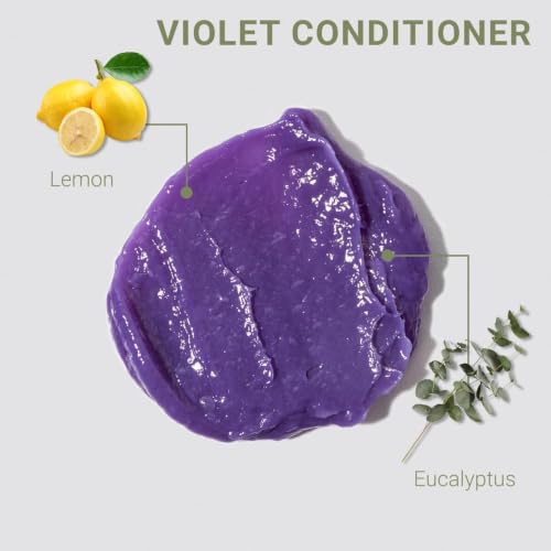 Loma Violet Conditioner for Blonde & Grey Hair, 33 oz