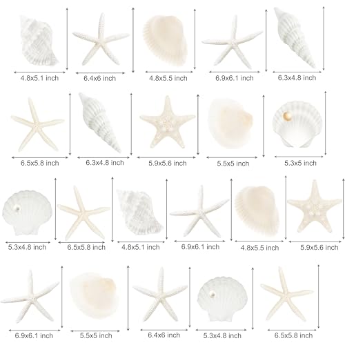 21pcs Beach Seashell Hanging Swirl Decorations for Parties