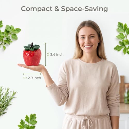 Strawberry Ceramic Refrigerator Deodorizer with Lid - 8 Vent Holes