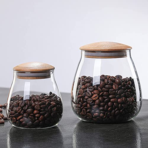 MOLADRI 400 ML Clear Glass Storage Jar with Airtight Bamboo Lid