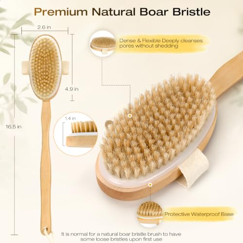 Natural Bristle Dry Brush with Long Handle for Back Exfoliation