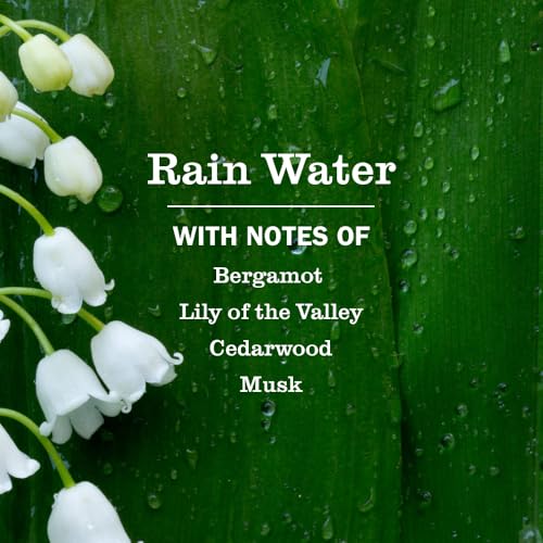 Mrs. Meyer's Clean Day Multi-Surface Cleaner Concentrate, Rain Water, 32 oz
