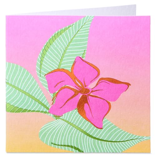 Papyrus Tropical Pop-Up Card for Birthdays & All Occasions