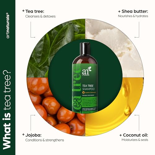 Artnaturals Tea Tree Shampoo 16 fl oz - Natural Hair & Scalp Care, Dandruff Relief