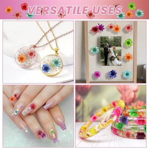 800 PCS Mini Dried Pressed Flowers for Crafting | Natural Real Flowers with Tweezers