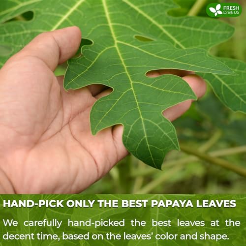 Premium Papaya Leaf Tea Bags - 100% Natural Herbal Tea, Vegan