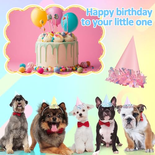 24 Pcs Iridescent Pastel Mini Party Hats for Dogs & Cats