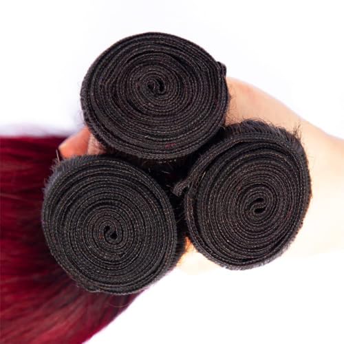 Luxvogue 26-30 Inch Burgundy T1B/99J Human Hair Bundles