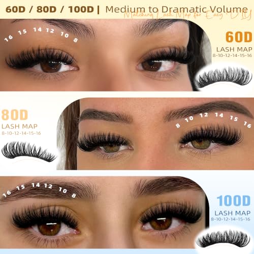 Winifred Lash Clusters Kit A-30D/40D/50D/60D/80D/100D 696 Pcs Eyelash Extensions