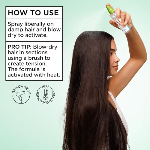 Garnier Fructis Diamond Sleek Hair Shine Spray, Up to 100-Hour Frizz Control, Heat Protectant up to 450¡ÆF with Vegan Keratin Smoothing Complex and Argan Oil for Frizzy, Dry, Dull Hair, 4.6 Fl Oz