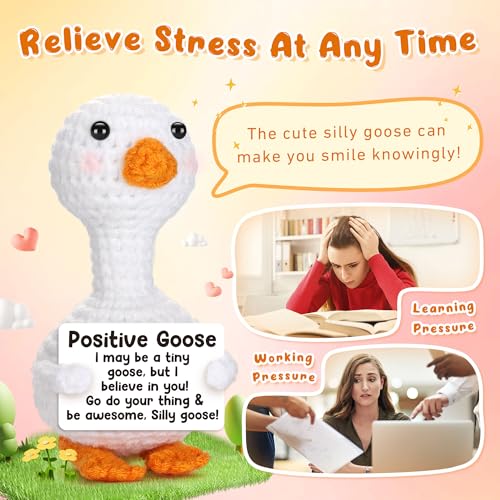 Positive Crochet Goose Gift - Encouragement & Friendship Token