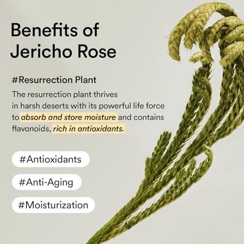 Abib Non-Animal Collagen Eye Cream Jericho Rose - Anti-Aging, Brightening, Puffiness & Wrinkles, 1.01 fl oz