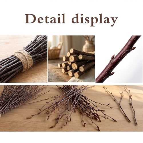 30 Natural Birch Branches - 17" Dried Twigs for Vases & Decor