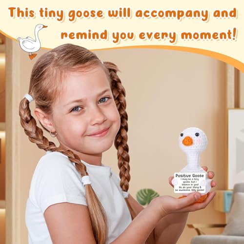 Positive Crochet Goose Gift - Encouragement & Friendship Token