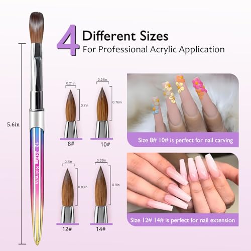 ZoCCee Gradient #10 Acrylic Nail Brush - Kolinsky Sable for Art & Extensions with Storage