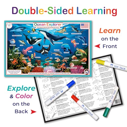 Ocean Explorer Double-Sided Placemat for Kids - Educational & Wipe-Clean