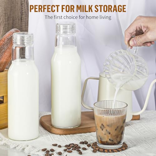 25 Oz Borosilicate Glass Bottles with Lids - Leakproof & BPA Free