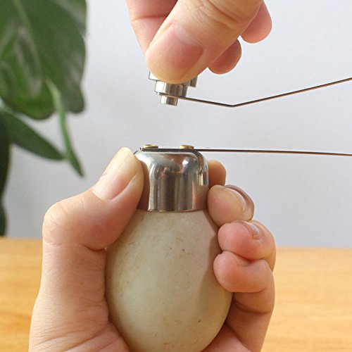 Stainless Steel Egg Cracker Tool - 2.5cm Egg Shell Cutter