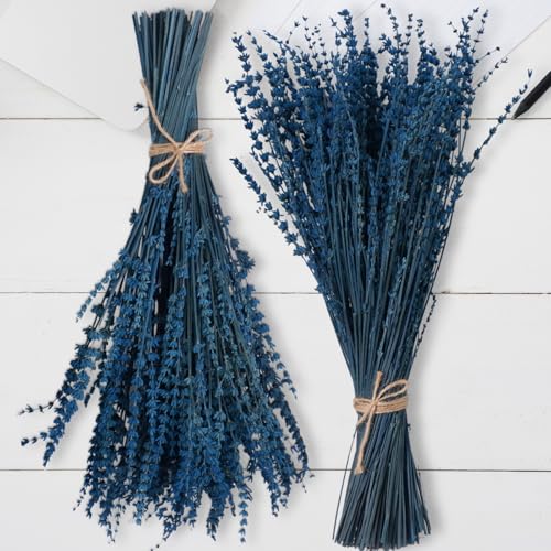 2 Bundles of Premium Preserved Blue Lavender Flowers - 17" Aromatic Stems for Home Decor & Crafts