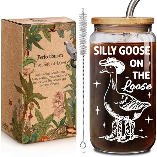 Funny Goose Glass Cup with Bamboo Lid & Straw - 16OZ Gift