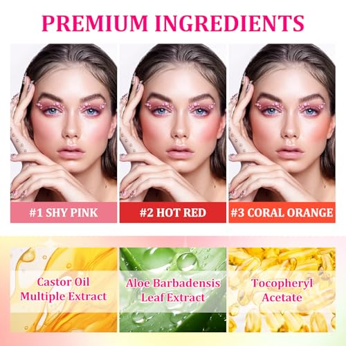 PPPanYiDi 3PCS Multi-Use Cream Blush Stick Set with Sponges - Natural, Hydrating & Long-Lasting for Cheeks, Eyes, Lips (Variation 001)