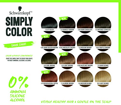 Schwarzkopf Simply Color 7.47 Medium Natural Copper Hair Dye - 1 Count