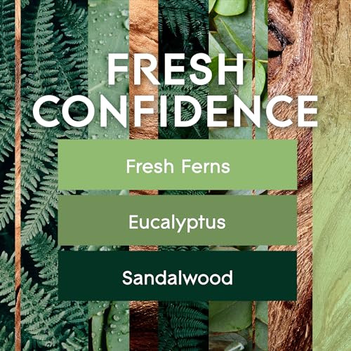 Glade Automatic Spray Refill - Fresh Confidence Air Freshener, 6.2 Oz
