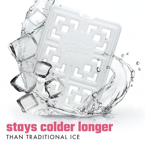 Fit & Fresh XL Reusable Ice Packs - 2 Pack for Coolers & Lunch Boxes