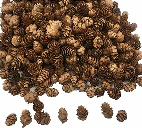 300 Mini Pine Cones for DIY Crafts & Home Decor - Natural Wood