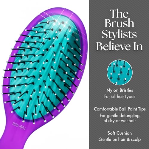 Olivia Garden Aurora Detangler Brush Purple Mini – Wet & Dry Hair, Fine to Medium