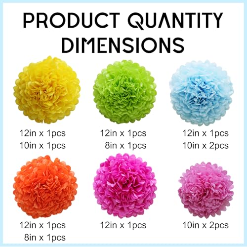 Colorful Tissue Paper Pom Poms - 12Pcs Fiesta Party Decorations