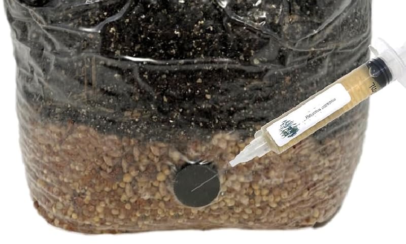 Microppose Self-Healing Injection Ports for Mushroom Spawn Bags (50-Pack)